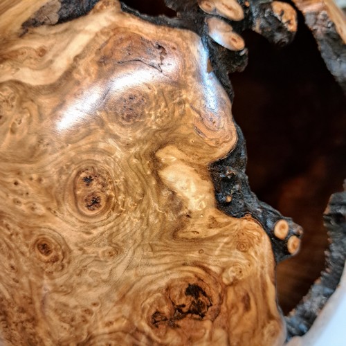 JW-229 Aspen Burl Hollow Woodturning 15.5x9.5 $1500 at Hunter Wolff Gallery
